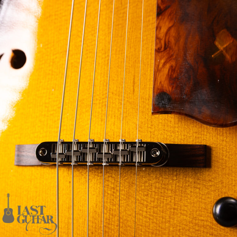 Rozeo Ladybug LA-CTM SCM VS