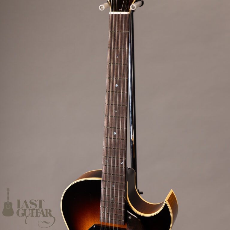 Rozeo Ladybug LA-CTM SCM VS