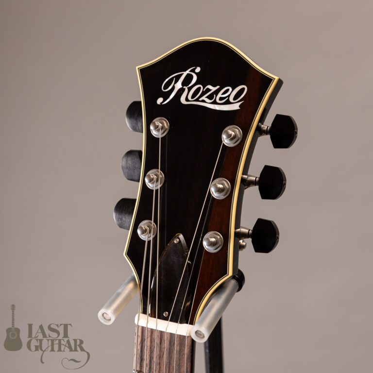 Rozeo Ladybug LA-CTM SCM VS