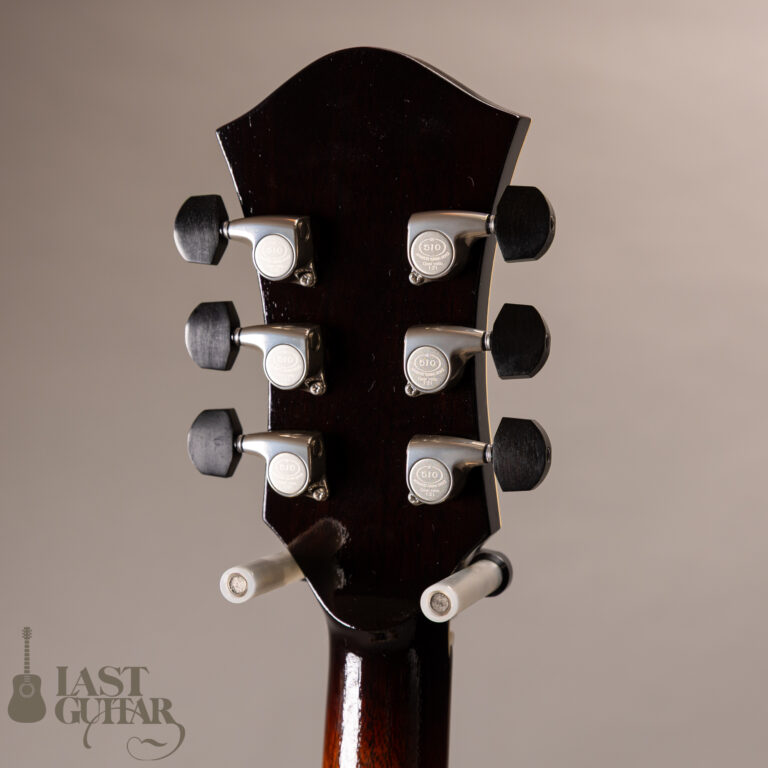 Rozeo Ladybug LA-CTM SCM VS