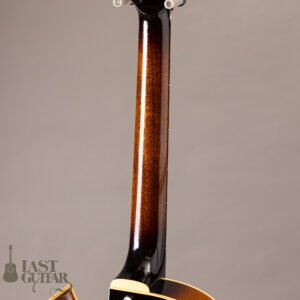 Rozeo Ladybug LA-CTM SCM VS