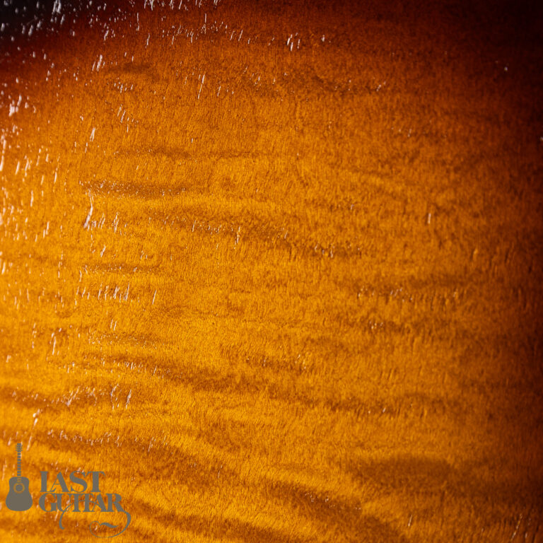 Rozeo Ladybug LA-CTM SCM VS