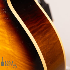 Rozeo Ladybug LA-CTM SCM VS