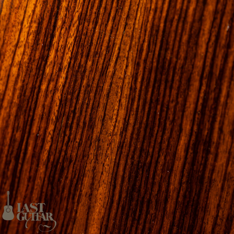 Iwaneko Guitars Type-O 13F Simple Style