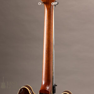 Lasting ESNOVA Rosewood Humbucker