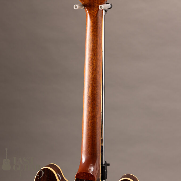 Lasting ESNOVA Rosewood Humbucker