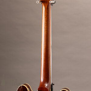 Lasting ESNOVA Rosewood P90 Dogear