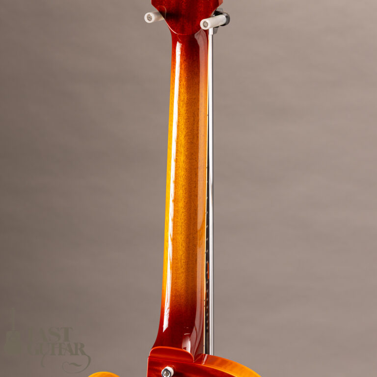 Rozeo Ladybug-CB CM HB RT Burst