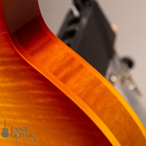 Rozeo Ladybug-CB CM HB RT Burst