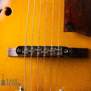 Rozeo Ladybug LA-CTM SCM-TB HB VS