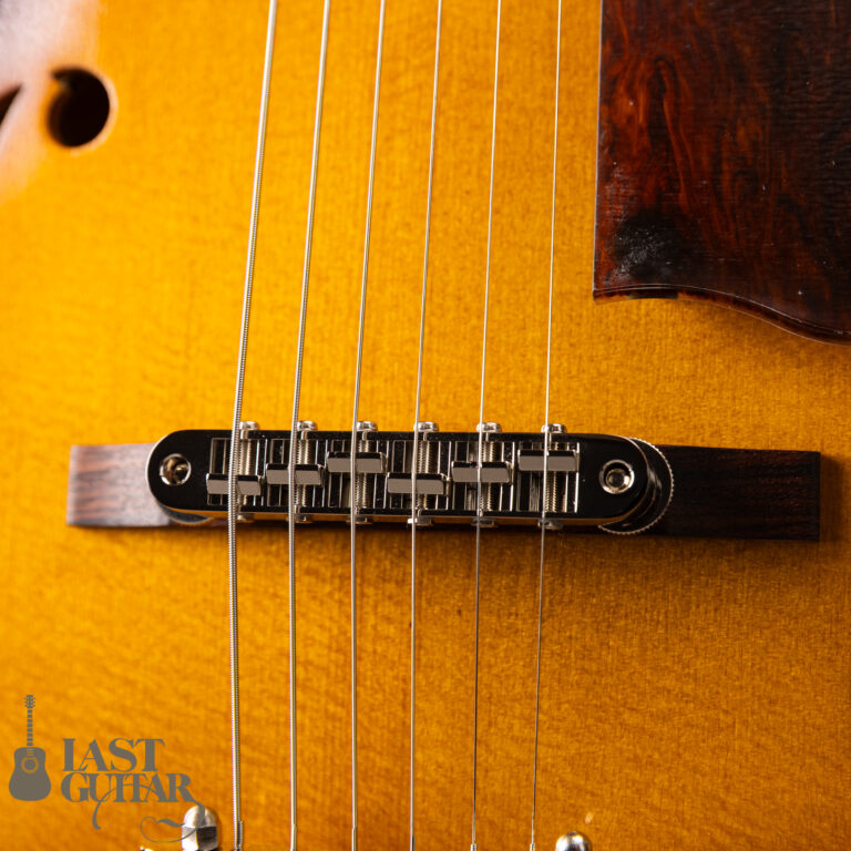 Rozeo Ladybug LA-CTM SCM-TB HB VS