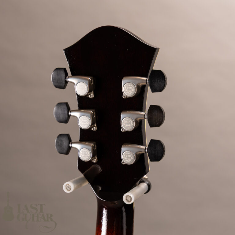 Rozeo Ladybug LA-CTM SCM-TB HB VS