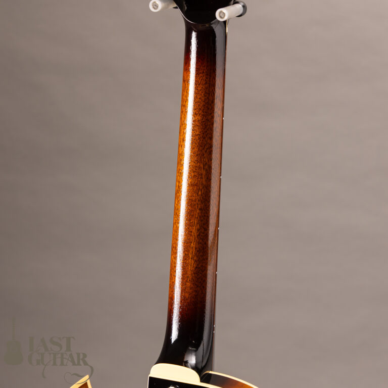 Rozeo Ladybug LA-CTM SCM-TB HB VS