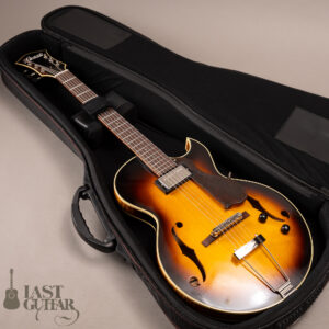 Rozeo Ladybug LA-CTM SCM-TB HB VS