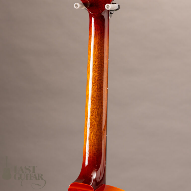 Rozeo Ladybug SM-C RT Burst