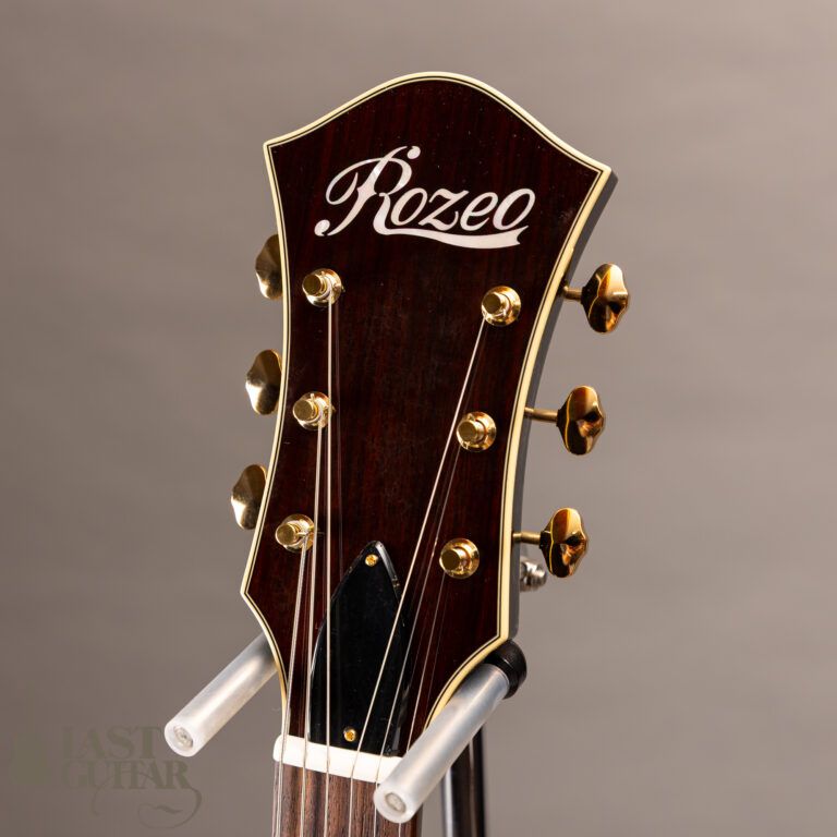 Rozeo Ladybug SM-C VS