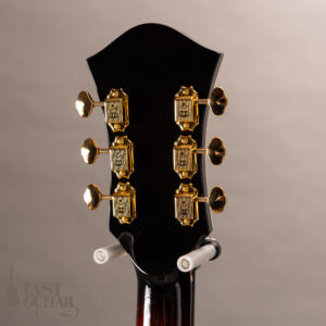 Rozeo Ladybug SM-C VS