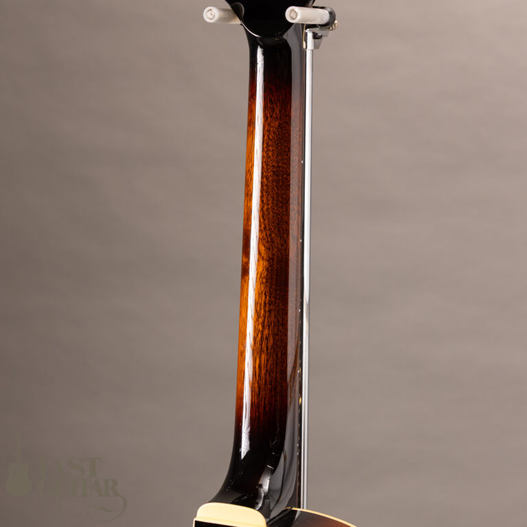 Rozeo Ladybug SM-C VS